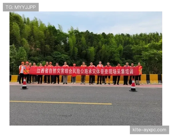 手球判罚核心:何为故意触球与身体自然接触 手球判罚核心:何为故意触球与身体自然接触